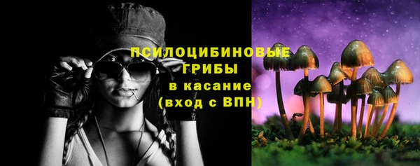 мескалин Арсеньев