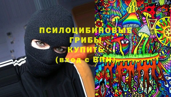 мяу мяу мука Армянск