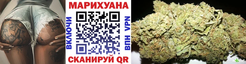 Конопля Bruce Banner  Балтийск 